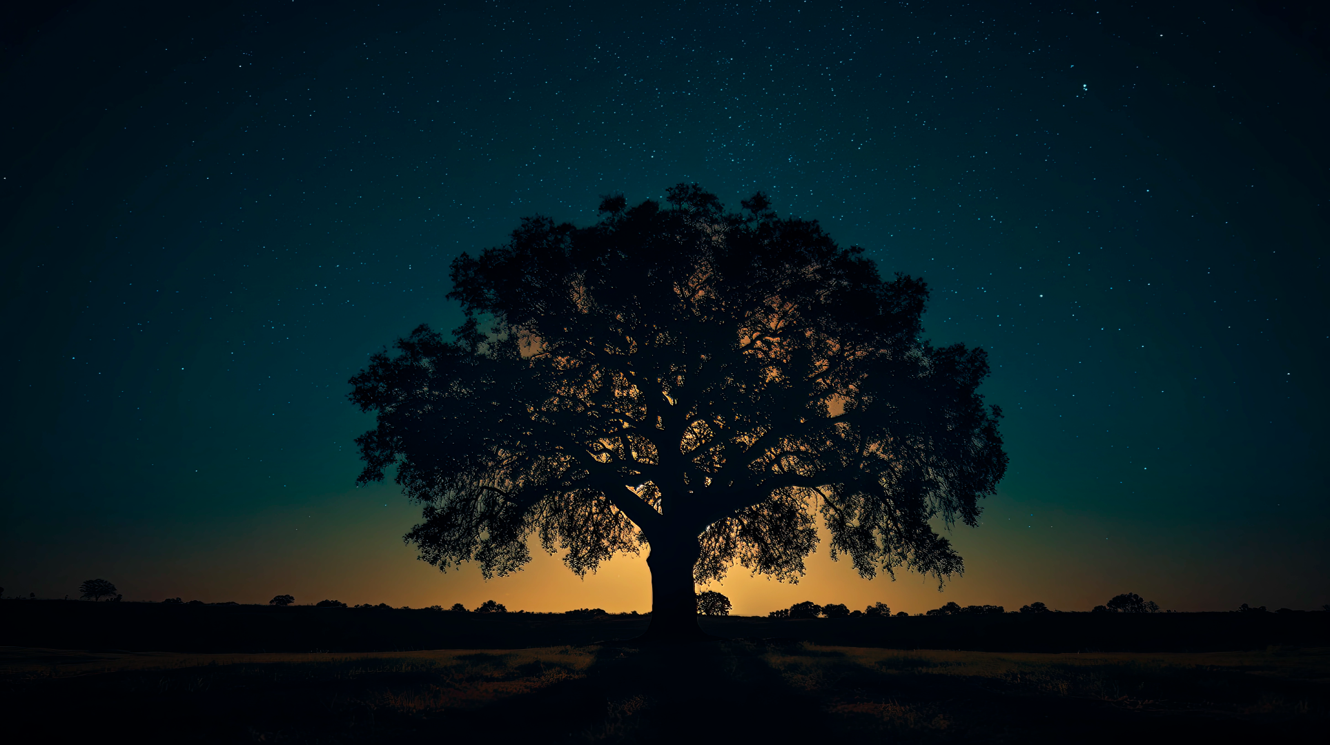 home-banner-background